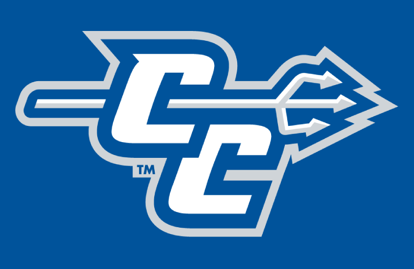 Central Connecticut Blue Devils 2011-2016 Helmet Logo diy iron on heat transfer